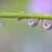 水に生きる