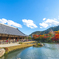 紅葉・天龍寺2013part2