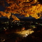 紅葉と夜景