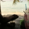 Shake and beach