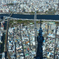 東京シャドウツリー