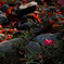 fallen flare