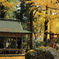 岩戸落葉神社