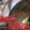 南禅寺　疎水Ⅱ