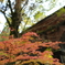 南禅寺　疎水