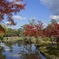 奈良公園