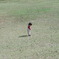 みーつけた！