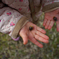 acorns