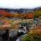 紅葉登山