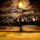 公園３
