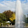 DSC05480