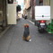 サミシイ