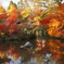 Autumn in Kyoto 4