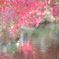 金戒光明寺