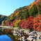 colorful autumn