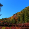秋晴れとつり橋