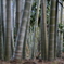 F2.8　開放