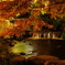 垂水紅葉