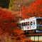 貴船口駅にて