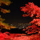 夜の紅葉狩り