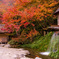 ～　紅染まる秘窯の里　～