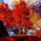 紅葉たけなわ