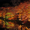 A5S_9237-1s