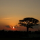 大楠夕景