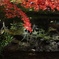 京都、紅葉