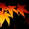紅化粧