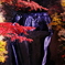 袋田の滝紅葉だより