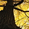 CSC_3019
