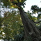 CSC_3022