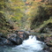 檜原村　滝〜渓流〜紅葉