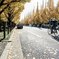 Autumn People #3