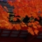 高野山