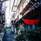 路地裏に咲く