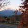 紅葉と富士山