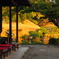 水前寺成趣園