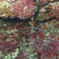 PB030594