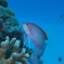 PB040860
