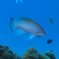 PB040863