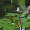 DSCF0072
