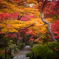 紅葉のトンネル