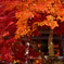 紅に埋もれる鐘楼