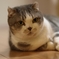 鈴です