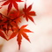 紅い結晶