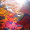 DSCF1659