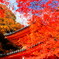 DSCF1662