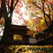 DSCF1685